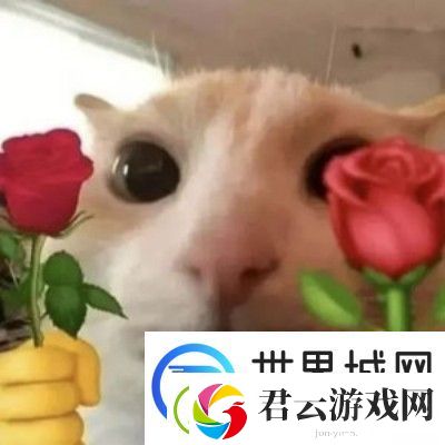 玫瑰玫瑰玫瑰是什么梗的来源和含义：隐藏任务触发与完成攻略