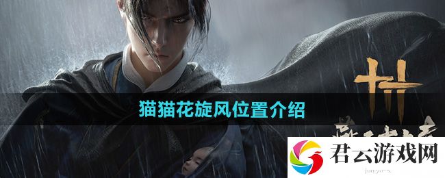 燕云十六声猫猫花旋风位置介绍：多人副本团队协作与指挥艺术猫扑攻略