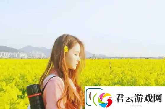 姑父有力挺送：想象力的解放与期待