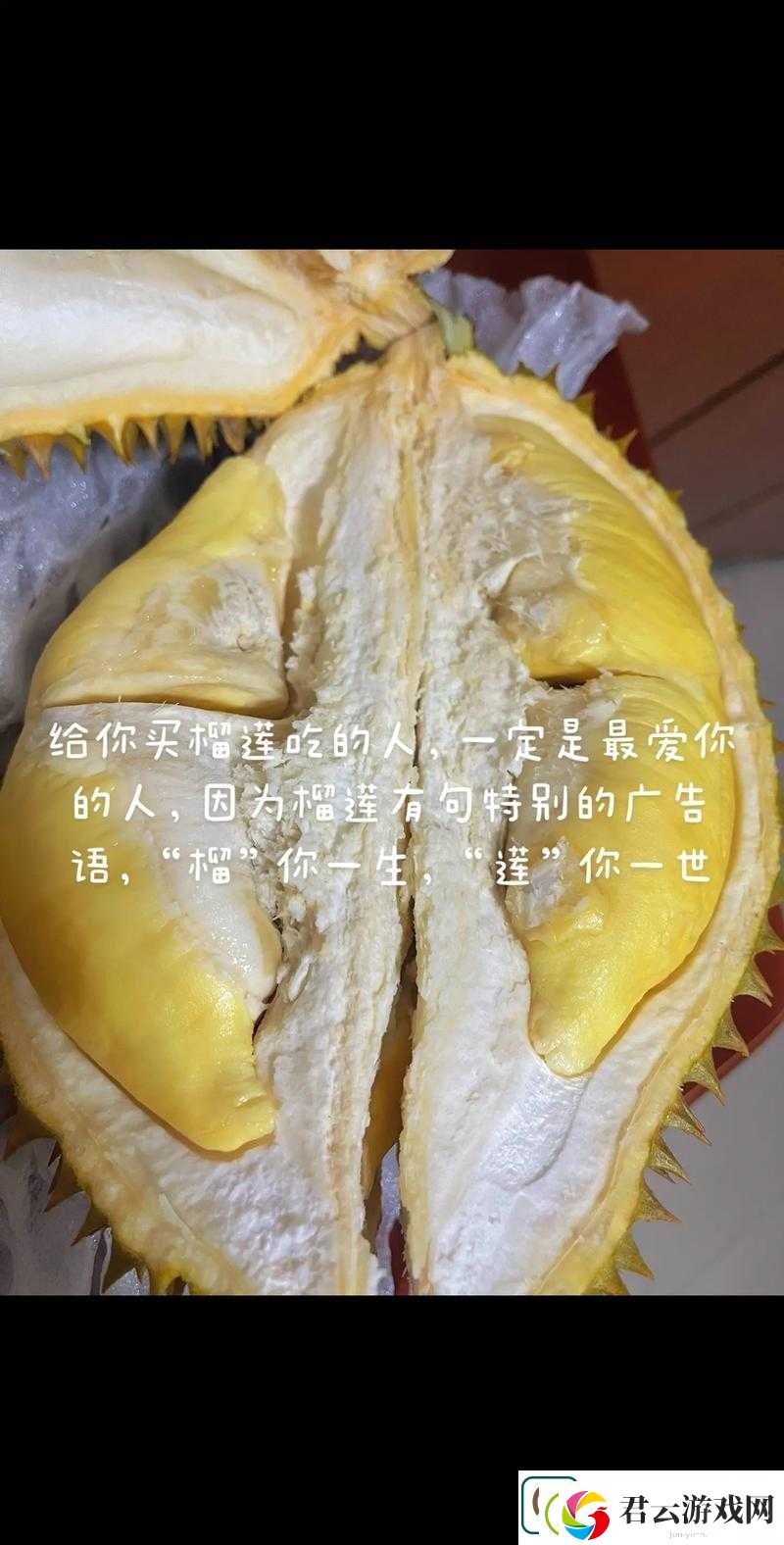 榴莲视频成人-你无法拒绝的视觉盛宴