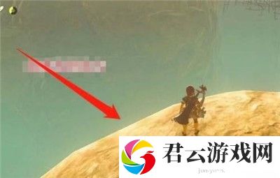 《塞尔达传说王国之泪》怎么进入奥尔丁鸟塔