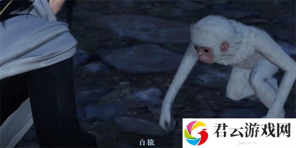 《逆水寒》手游怎么完成白猿献图任务