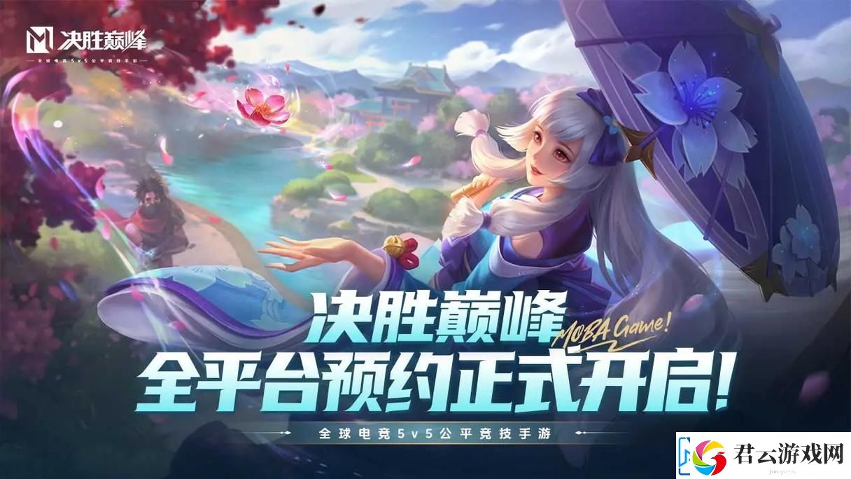 决胜巅峰维尔怎么玩-维尔打法教学攻略