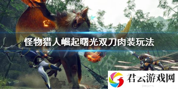 怪物猎人崛起曙光双刀肉装输出怎么玩？曙光双刀肉装玩法