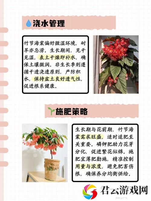 被系统浇灌的日常，网友：这是我们不知的生活