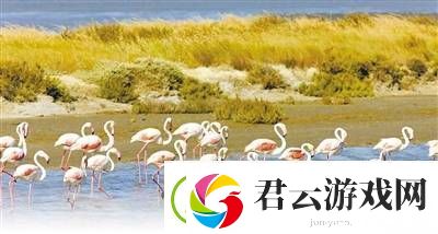 人畜禽CROPROATION：推动农业与畜牧业可持续发展的新模式