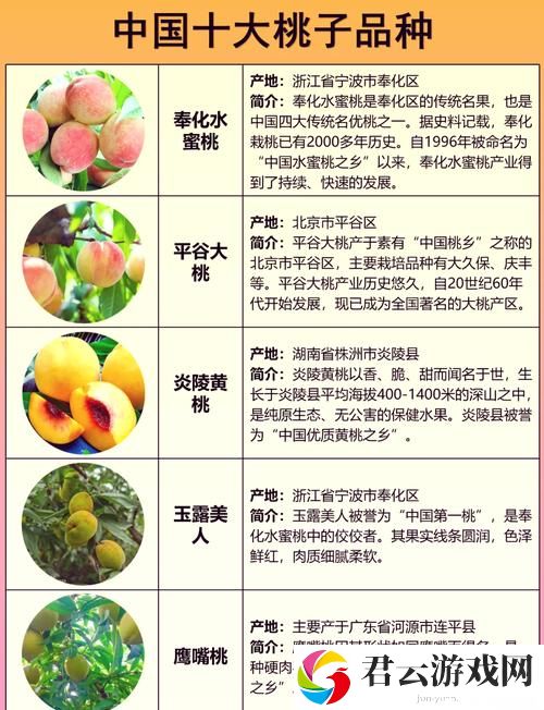 内容丰富蜜桃国精产品二三三区，探索美味与健康的完美结合