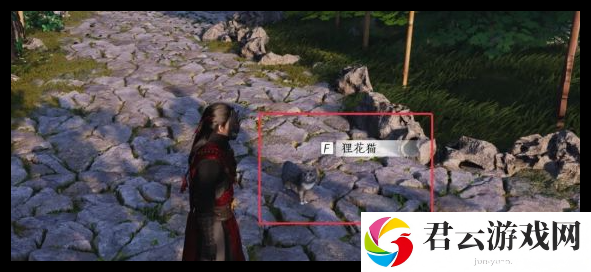 燕云十六声九重春色偷师技巧一览
