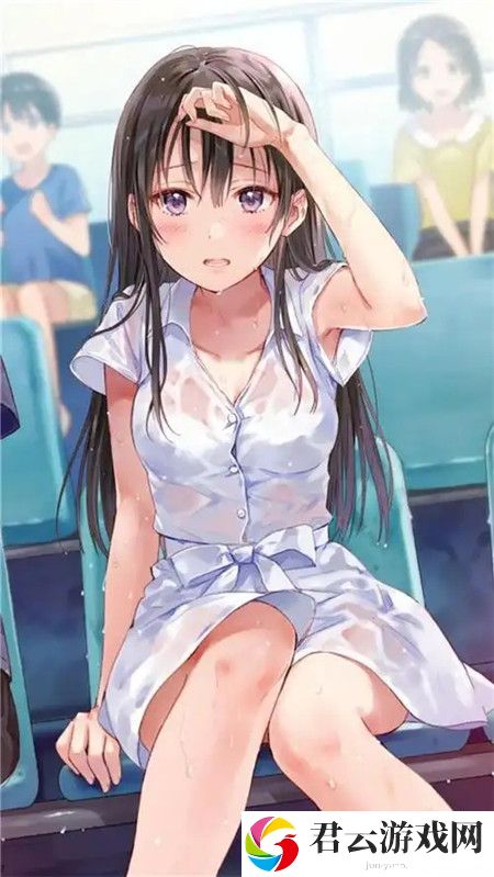 “岳婿合体10章之后还有原著吗：揭开续篇的神秘面纱”