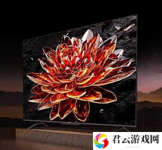 8848 高清电影电视剧免费看：畅享视觉盛宴