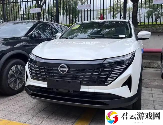 日产2019区一线二线三线，网友：期待更多惊喜！