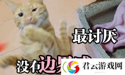 讨厌没有边界感的人是什么梗网络用语-讨厌没有边界感的人梗意思及出处分享