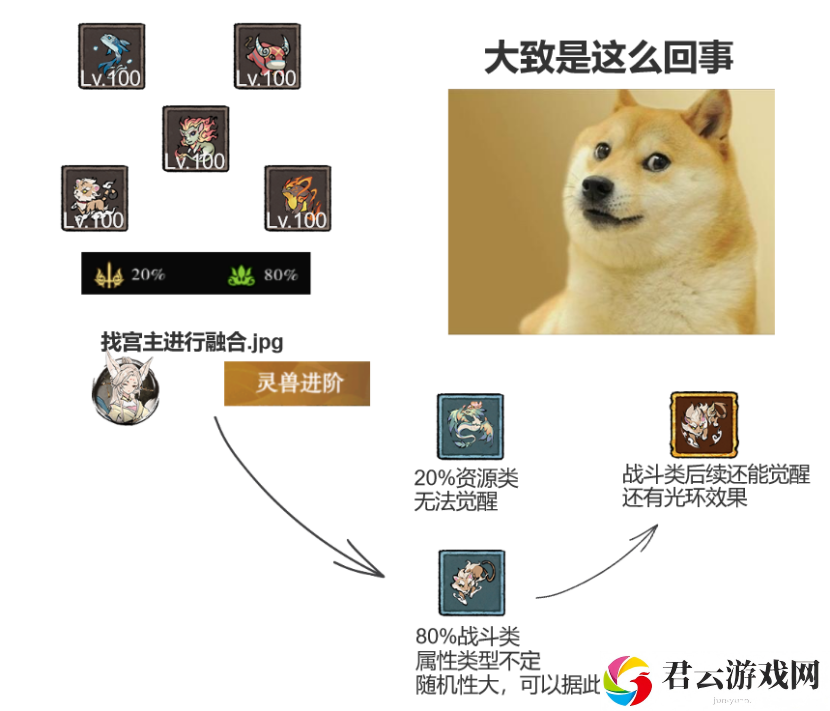 弑神斩仙二阶灵兽搭配技巧一览