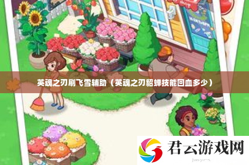 英魂之刃刷飞雪辅助 确保能够顺利通关诺布攻略