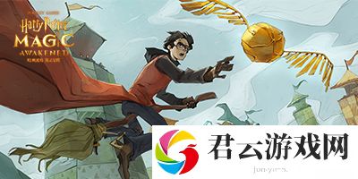 哈利波特魔法觉醒11月9号拼图在哪