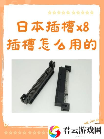 日本插槽x8是正规还是仿：深入探讨市场现状诺布攻略