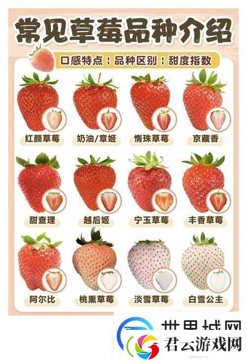 蜜丝婷大草莓和小草莓有什么区别哪款更适合你
