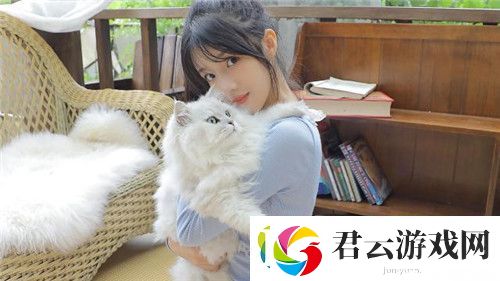 丰裕纵满2588：成就辉煌的新时代诺布攻略