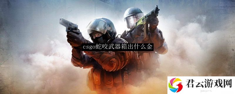 csgo蛇咬武器箱出什么金诺布攻略