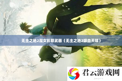 无主之地2魔女前期武器 玩家互动与社区建设建议诺布攻略