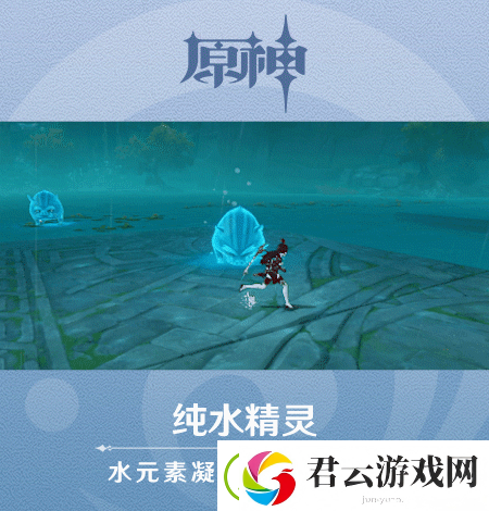 原神纯水精灵介绍