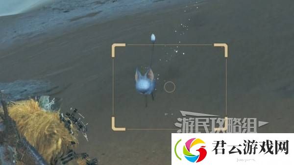 怪物猎人荒野稀有环境生物位置地图