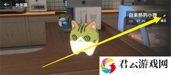 猫之城怎么改名-改名方法介绍